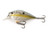 (3) Castaic 3 1/2" Squarebill 3.5 3/4 Oz Crankbaits Sexy Shad Brand New In Pack
