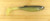 (5) Packs Castaic Jerky J Swim 7” Swimbaits Minnows Bluegill Flash Brand New