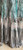 Lew’s Blair Wiggins M2 Stand Up 20-40 LB Jigging Rods 6'6" Heavy Conventional "BUY ONE GET ONE FREE"