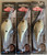 (3) Berkley Dredger 17.5 Crankbaits BHBDR17.5-HNSH Honey Shad