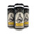 SKULL PINEAPPLE KEY LIME SEA SALT HARD SELTZER 4pk 16oz. Cans