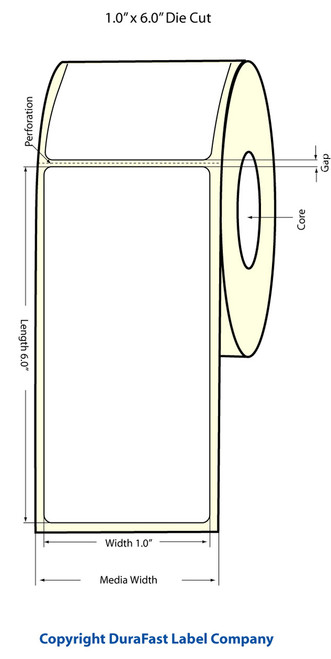 LX900 1" x 6" Matte BOPP Labels 400/Roll Image 1