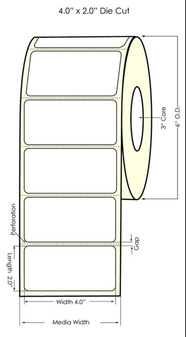 LX900 4" x 2"  Glossy BOPP Labels 1100/Roll