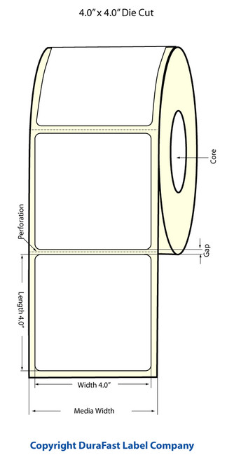 LX900 4" x 4" Matte Paper Labels 600/Roll Image 1