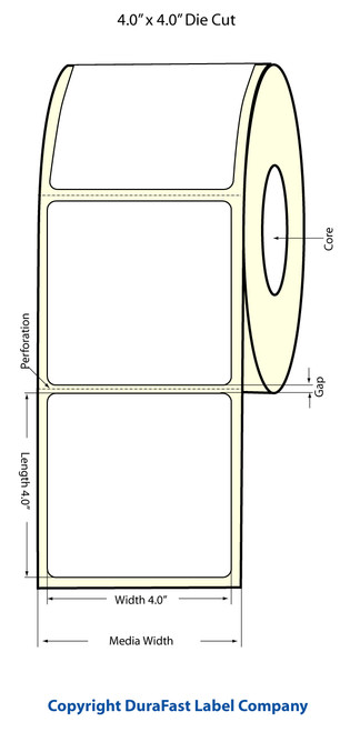 TM-C3500 4" x 4" (1A) Matte Paper Label 290/Roll Image 1