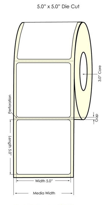 C6500 5" x 5" High Gloss Paper Labels 475/Roll