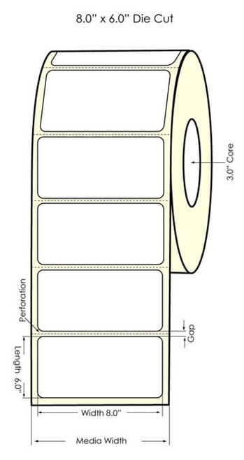 LX900 8" x 6" High Gloss Paper Labels 400/Roll