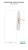 Thermal Transfer 3.0in x 500Ft Continuous 5MIL 1025D Tyvek Tag Roll 3in Core-8in OD