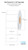 Direct Thermal 2.75in x 2.125in Paper Labels 1200/Roll - 1in Core - 4.25" OD | WinRX/Kroll Pharmacy Labels