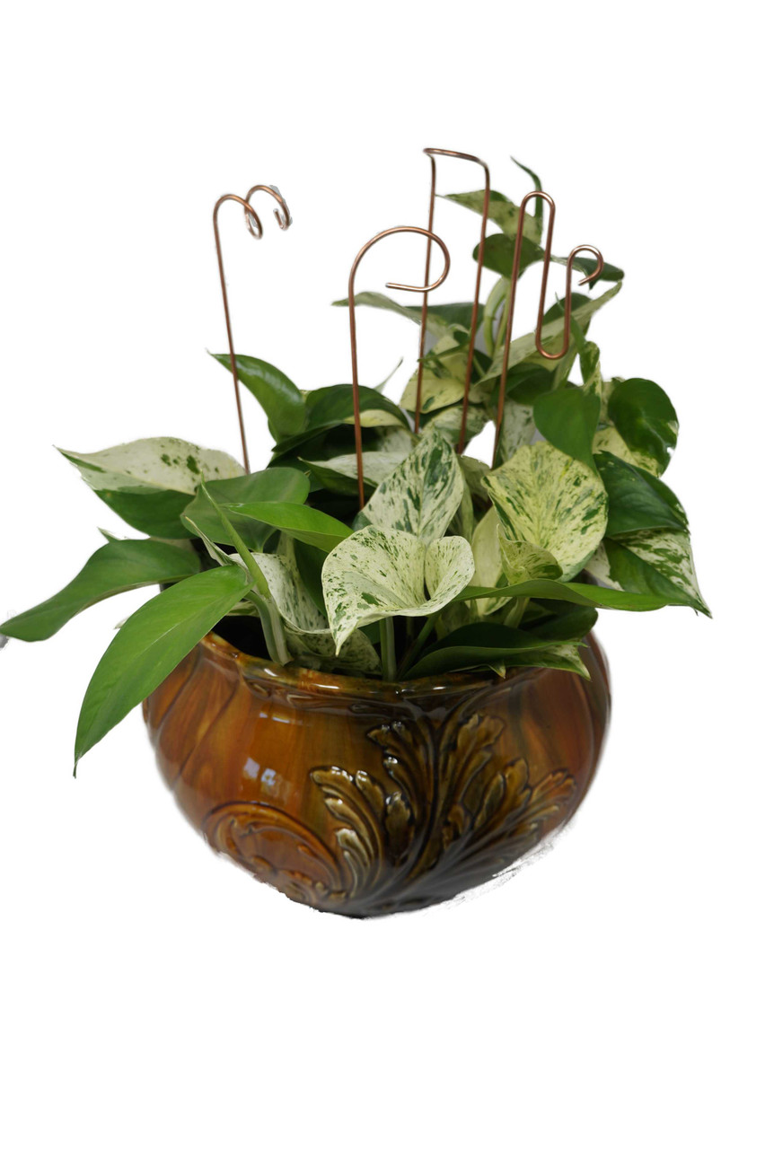 plant stool indoor 63