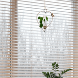 Freeform heart hanging plant vase displayed in window