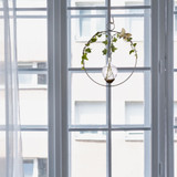 Round hanging plant vase displayed in a window with trailing greenery