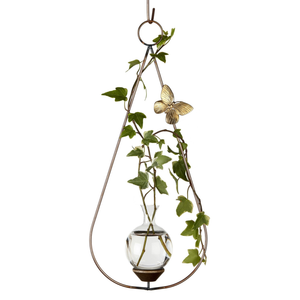 Teardrop hanging rooting vase with Brass Butterfly accent and handblown glass vase with ivy plant in water