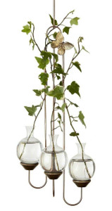 Triple hanging rooting vase with Brass Butterfly accent and three handblown glass vases with ivy cuttings in each vase