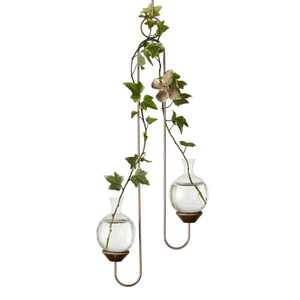 Double hanging rooting vase with Brass Butterfly accent and two handblown glass vases with ivy plant cuttings
