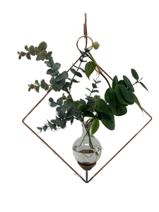 Square Plant propagation rooting vase and matching hook, with transparent background and plant