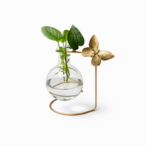 table stand plant propagation rooter vase with a plant and transparent background