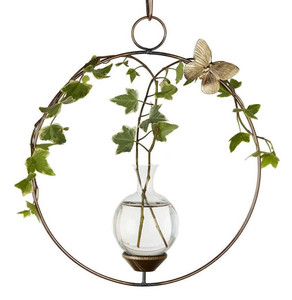 Round Plant Propagation Rooter Vase with ivy plant Round Plant Propagation Rooter Vase with ivy plant