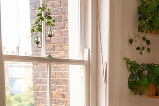 Living With Greenery