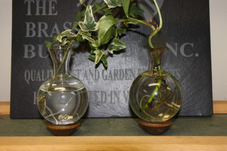 How We Style Plant Cuttings in Water