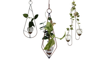 Unique Features of Brass Butterfly Propagation Vases