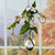 Crescent hanging rooting vase with Brass Butterfly accent and handblown glass vase with wondering plants hanging in a window