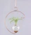 Crescent hanging rooting vase with Brass Butterfly accent and handblown glass vase with spider plant in water