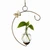 Copper Crescent hanging plant propagation vase with brass butterfly, glass bulb, pothos cutting, and visible roots.