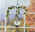 heart hanging rooting vase with Brass Butterfly accent and handblown glass vase with plants in a window