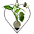 heart hanging rooting vase with Brass Butterfly accent and handblown glass vase with plant in water