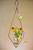 Diamond hanging rooting vase with Brass Butterfly accent and handblown glass vase with plants and flowers
