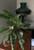 handcrafted Brass Butterfly plant sticks made with copper-coated rods in potted houseplant
