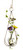 Dimensional teardrop hanging rooting vase with Brass Butterfly accent and hand-blown glass vase