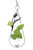 Tulip hanging rooting vase with black powder coat finish and handblown glass vase with pothos in water