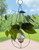 Minimalist teardrop propagation vase hanging with plant cutting
