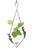 Diamond leaf hanging glass vase with gold vein finish and pothos cutting