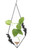 Diamond leaf hanging glass vase in matte black finish with plant cutting