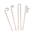 four unique curly plant sticks without background