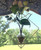 Square hanging glass plant vase displayed in window with pothos cuttings