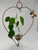 Whimsical Heart Hanging Rooting Vase with hand-blown glass and brass butterfly accent, handcrafted in Vermont with wandering pothos plant