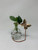table stand hanging plant propagation rooter vase with a plant