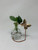 table stand hanging plant propagation rooter vase with a plant