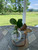 table stand hanging plant propagation rooter vase with a plant outside on a table