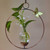 Round hanging plant vase with spider plant cutting