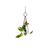 Dimensional Diamond Rooting Vase with Brass Butterfly accent and glass vase with plants