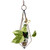 Dimensional Diamond hanging vase displayed with trailing greenery