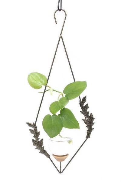 Diamond leaf hanging glass vase with gold vein finish and pothos cutting