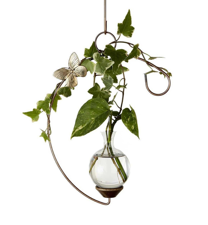 Crescent hanging rooting vase with Brass Butterfly accent and handblown glass vase with wondering plants in water
