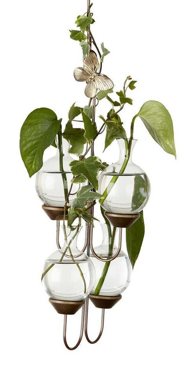 Four hanging rooting vases with Brass Butterfly accent and four handblown glass vases with pothos plants in water