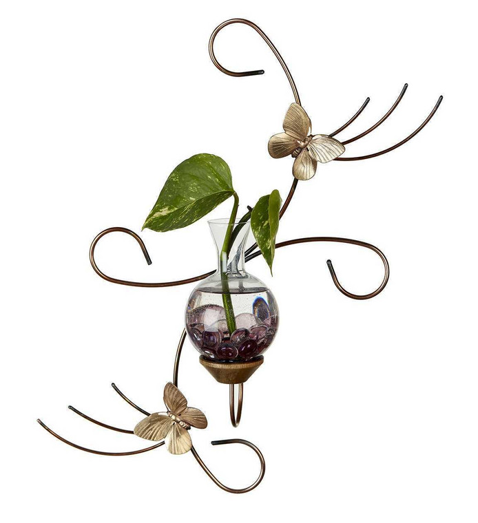 Wall or hanging rooting vase with double Brass Butterfly accents, handblown glass, and copper-coated finish with pothos plant in water in vase